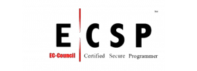 Logo ECSP