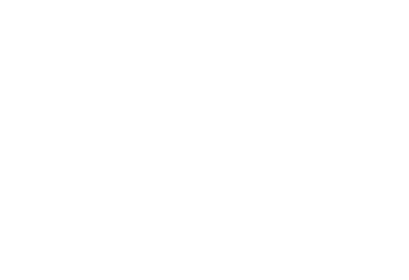 Logo Silent4Business